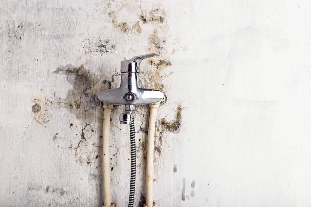 Best Mold Testing  in Burbank, CA