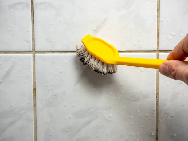 Mold Removal Process in Burbank, CA