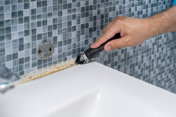 Best Home Mold Removal  in Burbank, CA