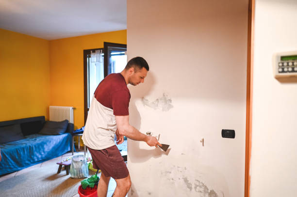 Best Professional Mold Removal  in Burbank, CA